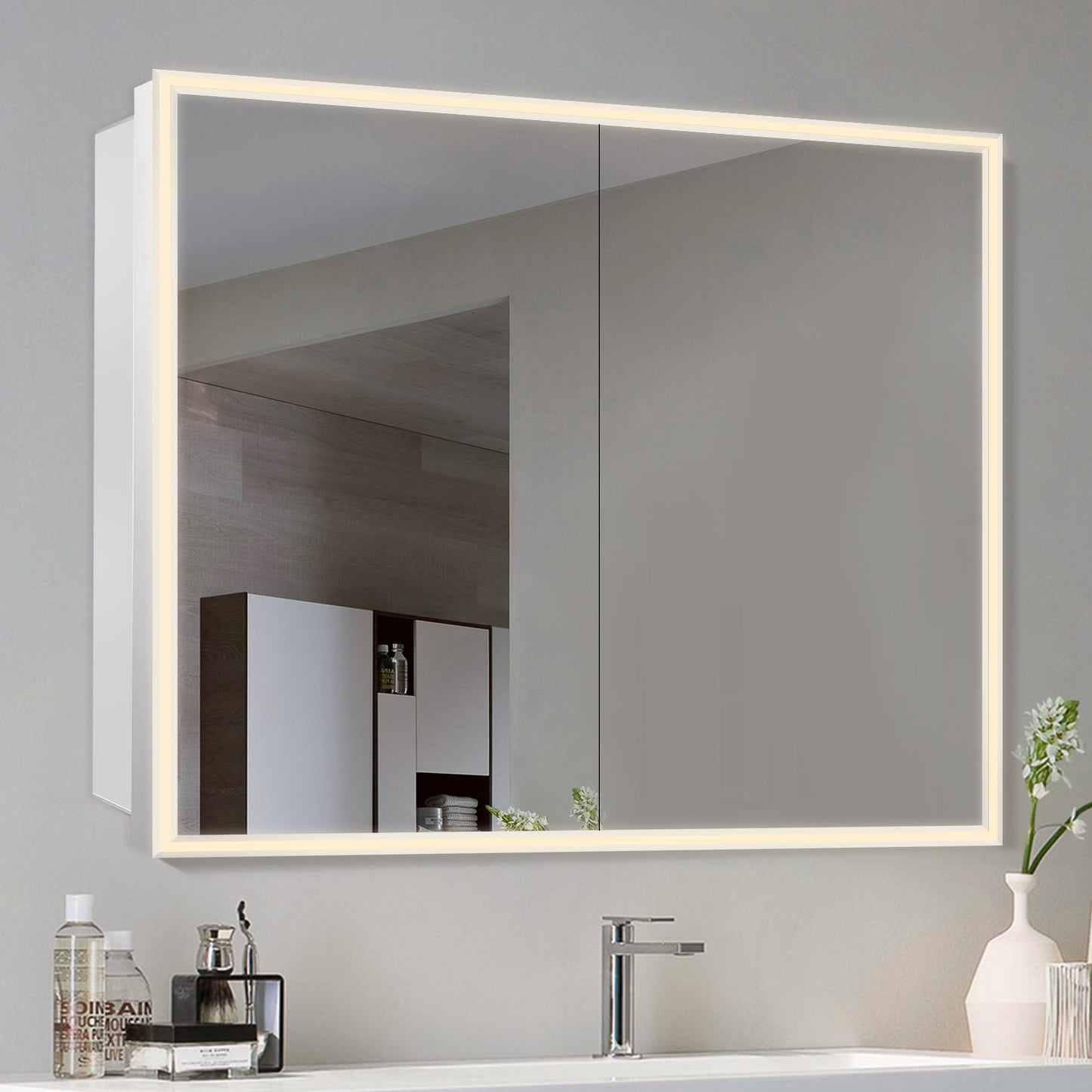 COLINE 48" x 32" Rectangular Silver Metal Framed LED Mirror Cabinet