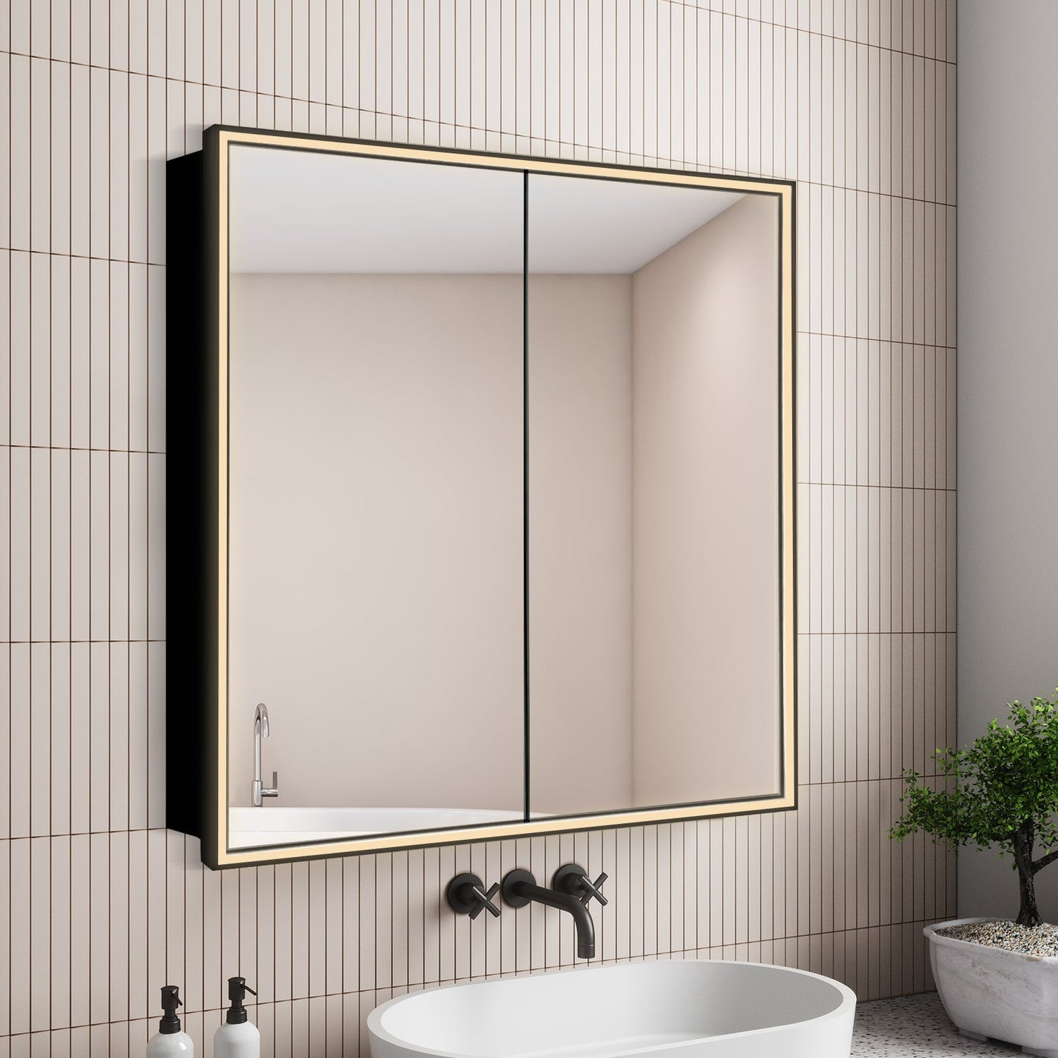 Mirror Cabinets