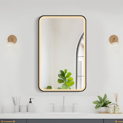 COLINE 20" x 32" Rounded Rectangular Black Metal Framed LED Mirror Cabinet
