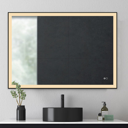COLINE 40" x 24" Rectangular Black Metal Framed LED Ghost Mirror