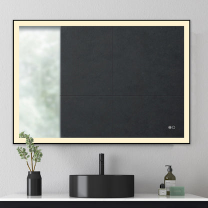 COLINE 40" x 24" Rectangular Black Metal Framed LED Ghost Mirror
