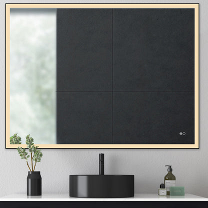 COLINE 48" x 24" Rectangular Black Metal Framed LED Ghost Mirror