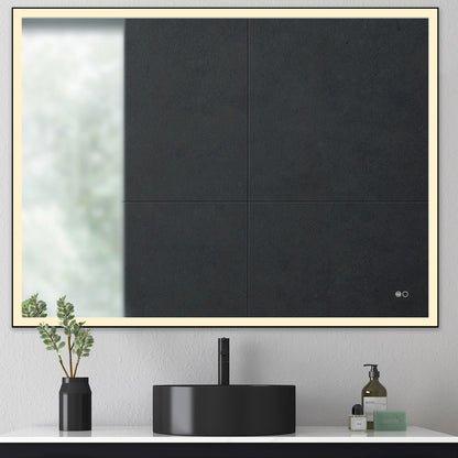 COLINE 48" x 24" Rectangular Black Metal Framed LED Ghost Mirror