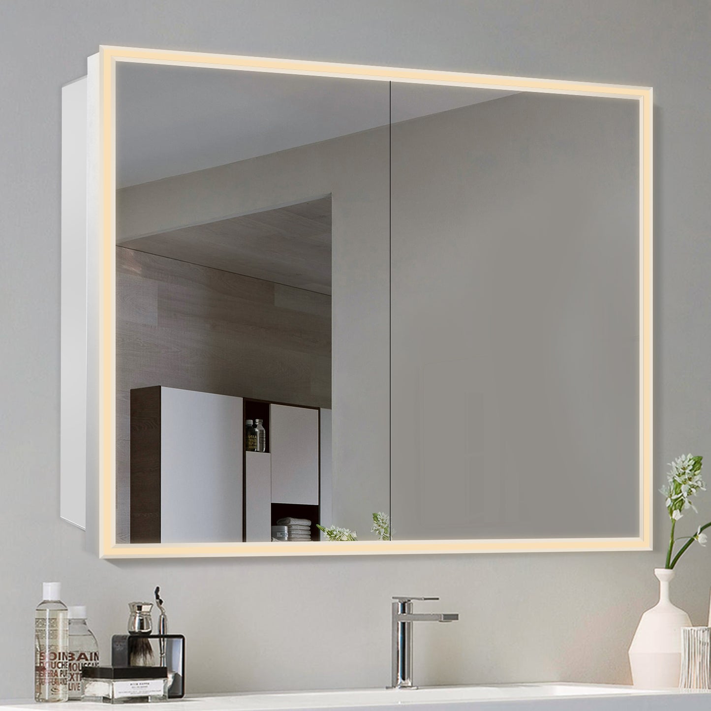 COLINE 48" x 32" Rectangular Silver Metal Framed LED Mirror Cabinet