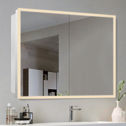 COLINE 48" x 32" Rectangular Silver Metal Framed LED Mirror Cabinet